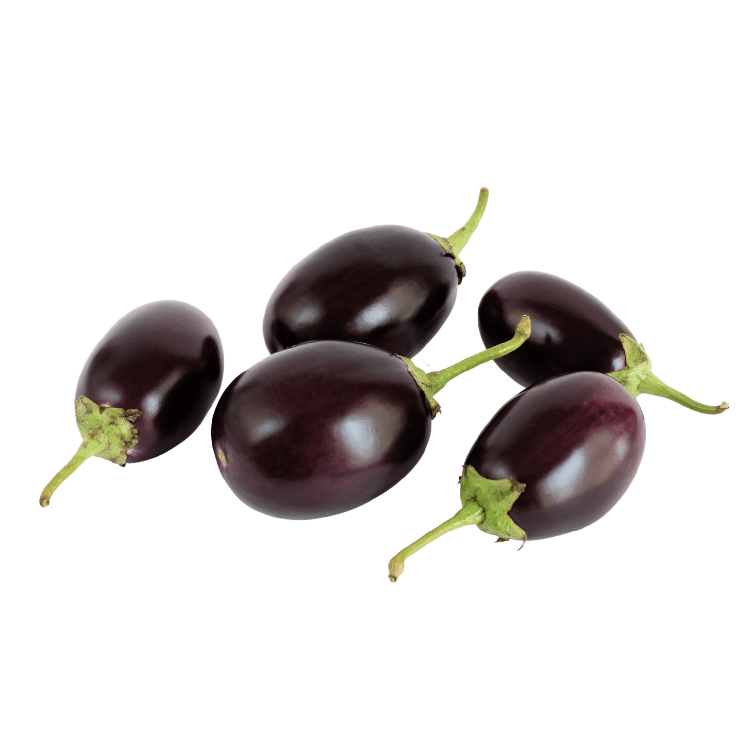 Brinjal small organic