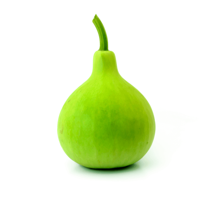 Bottle Gourd Round Organic
