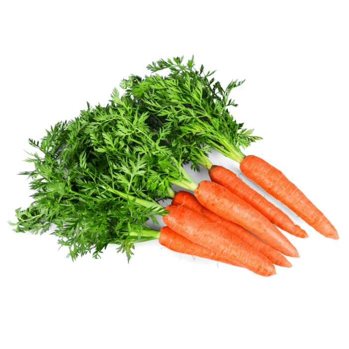 Carrot Organic