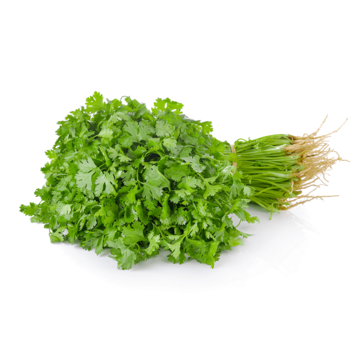 Coriander Organic