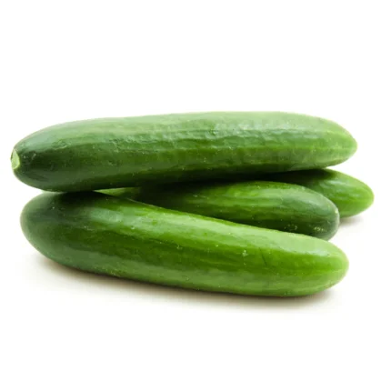 Cucumber organic