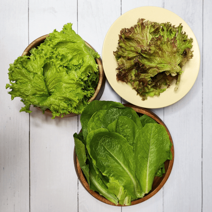 Lettuce Box
