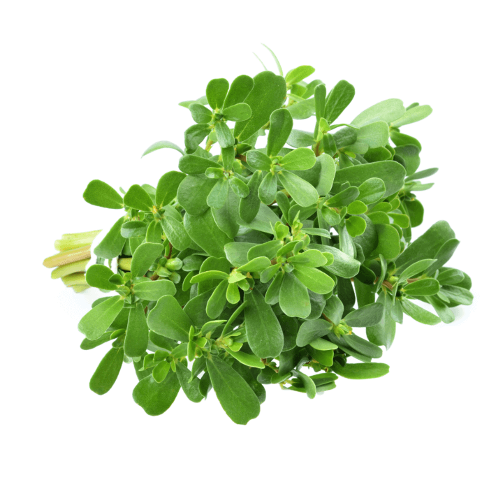 Methi Organic