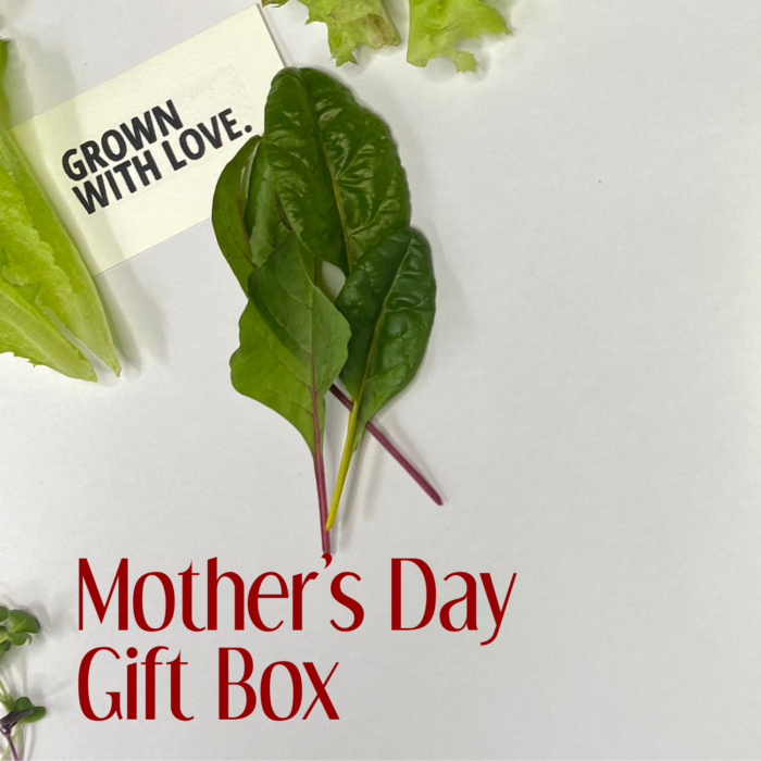 Mother's Day