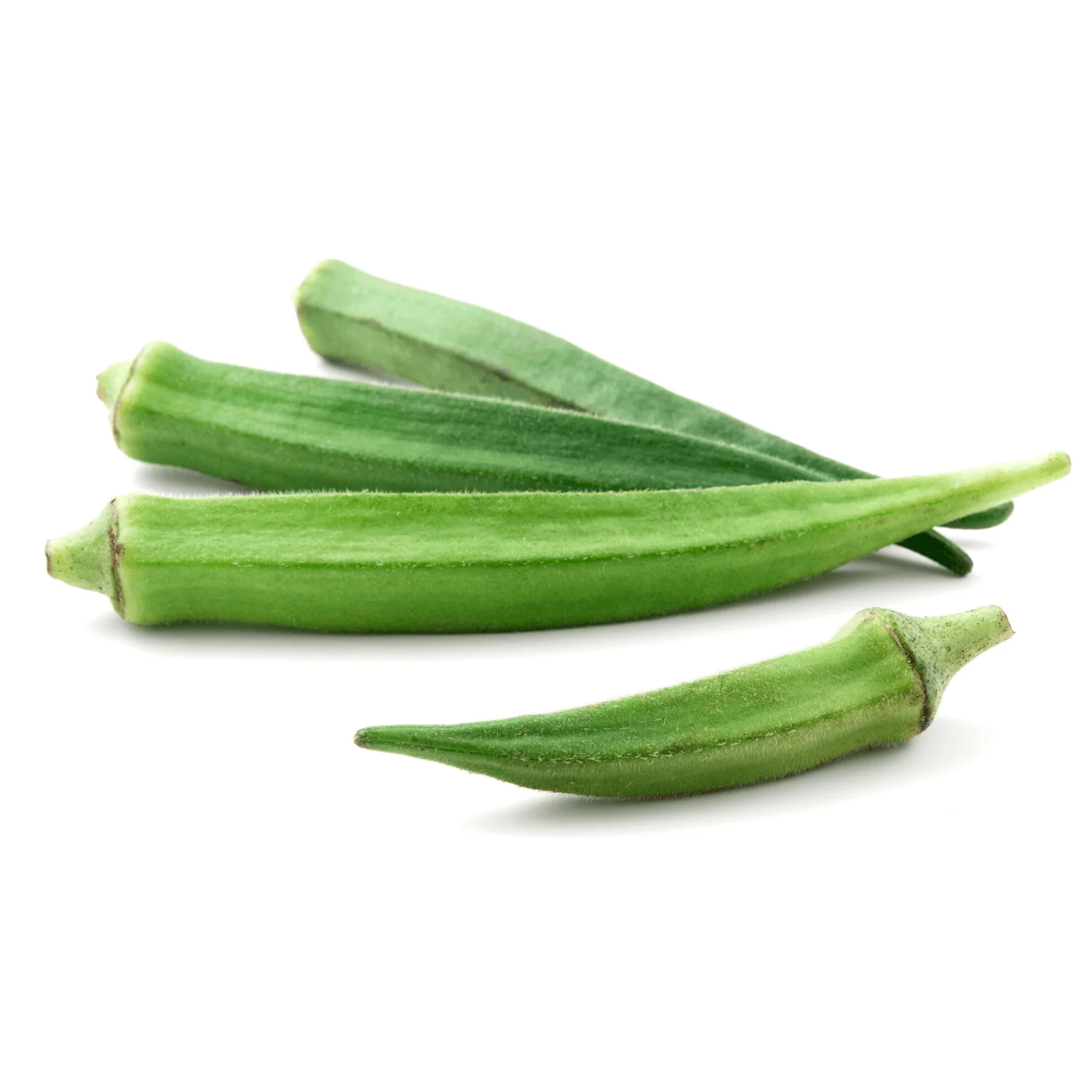 Okra bhindi organic