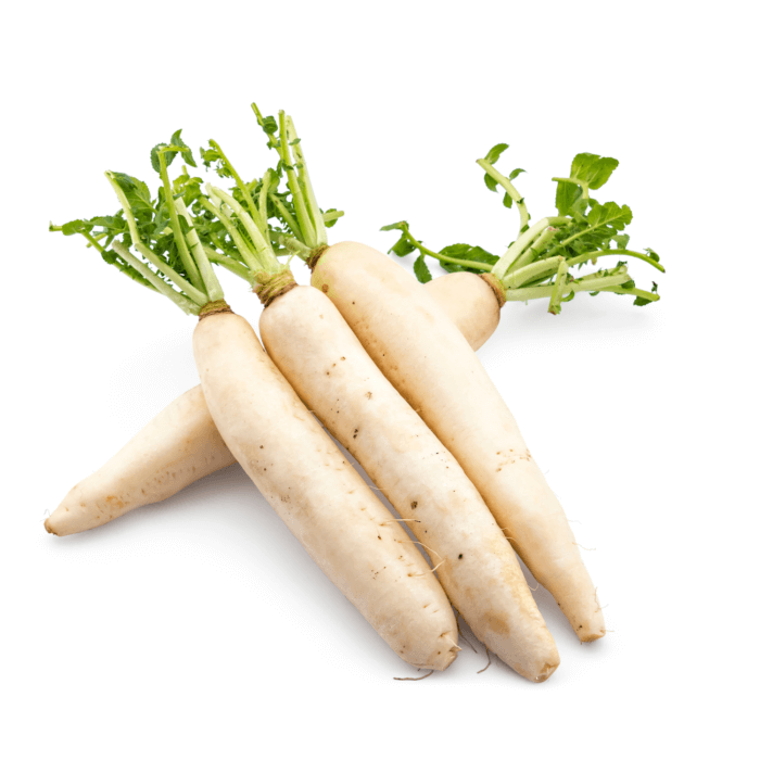 Radish White Organic