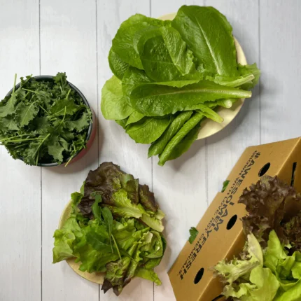Salad greens mini box