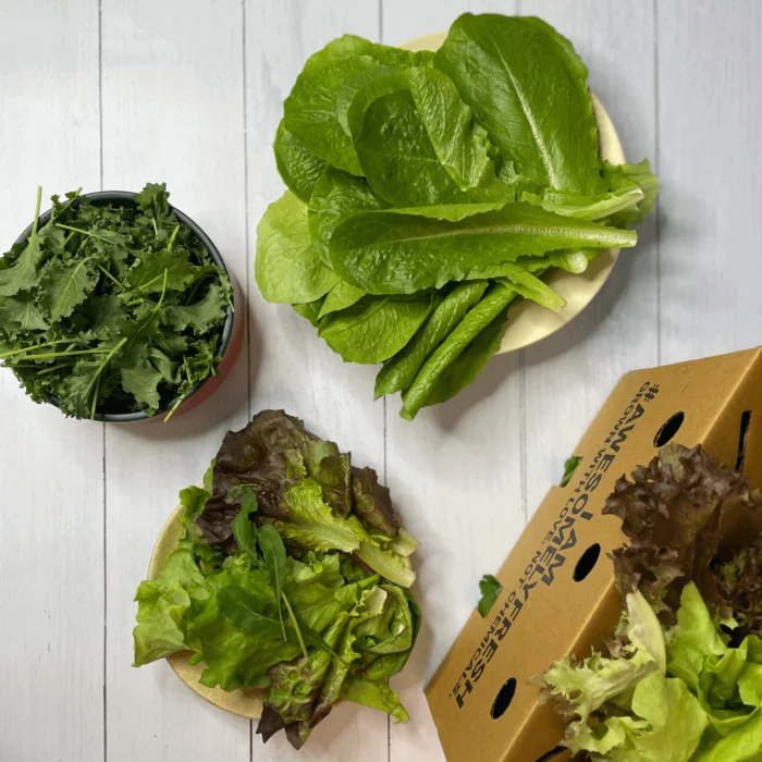 Salad Greens Mini Box - Image 1
