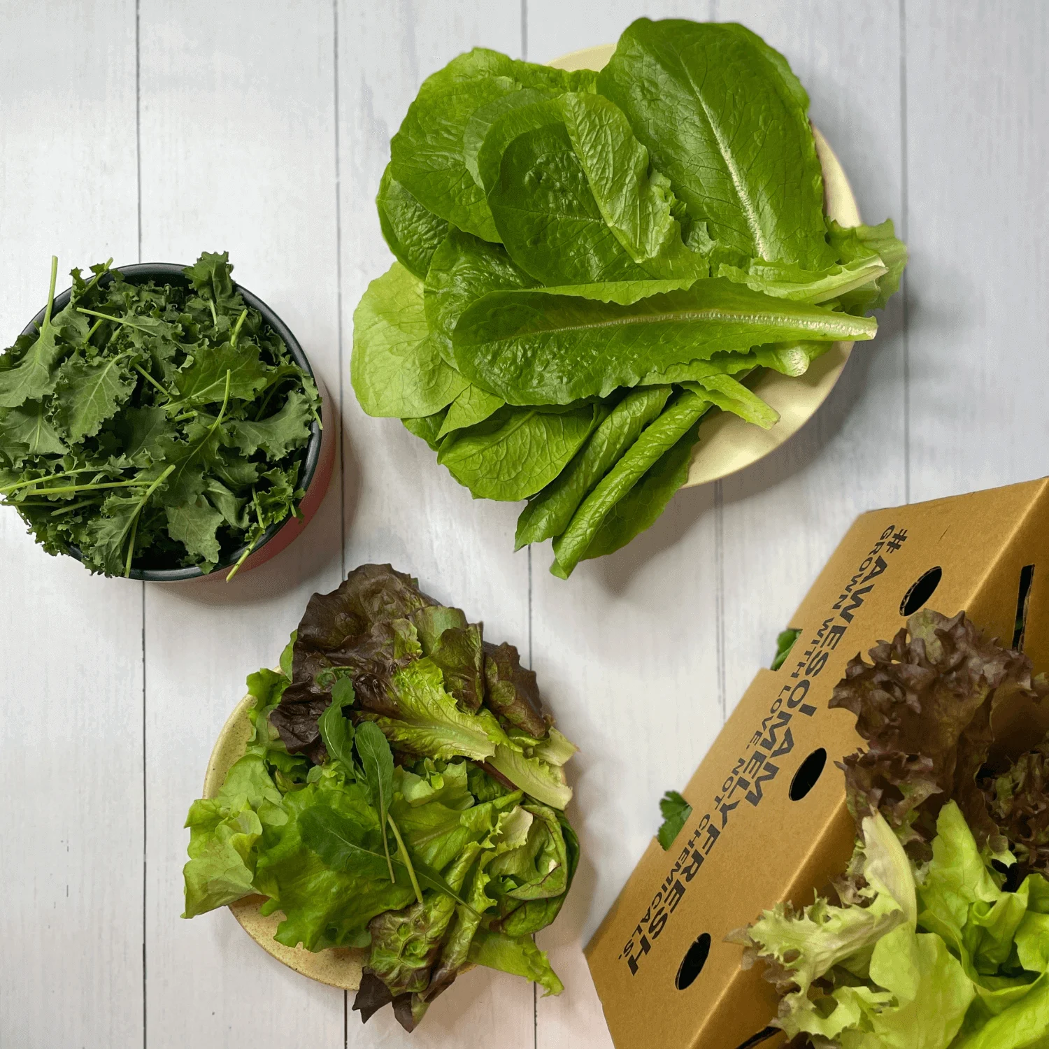 Salad-Greens-Mini-Box Salad Greens Mini Box - Image 1
