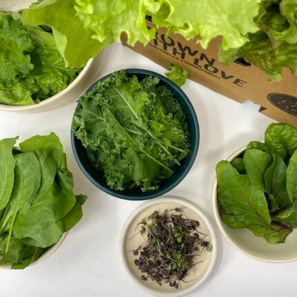 Salad Greens Box
