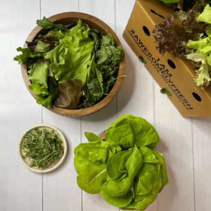 Salad Greens Mini With Microgreens