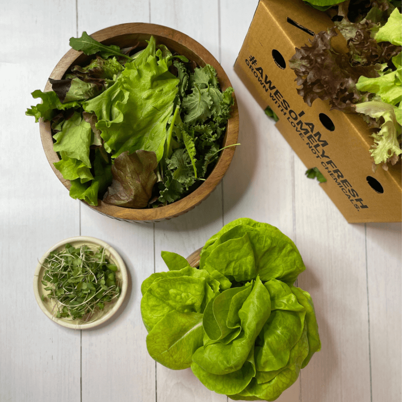 Salad Greens Mini With Microgreens
