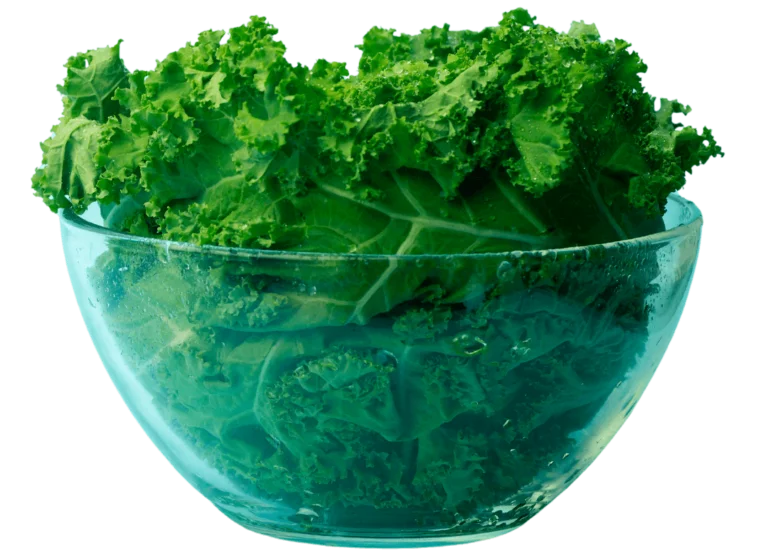 Curated box lettuce bowl