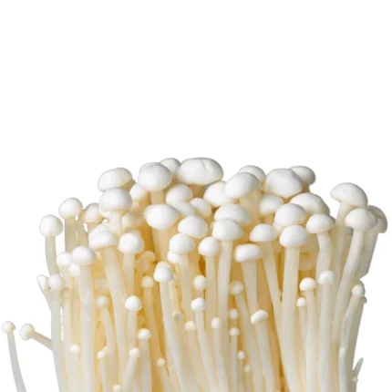 Enoki Mushroom