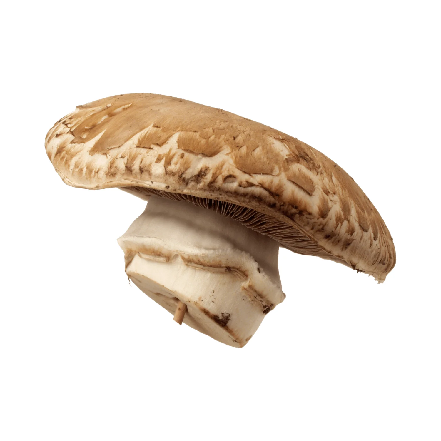 Portobello-Mushroom-Organic Portobello Mushroom | 200g - Image 1