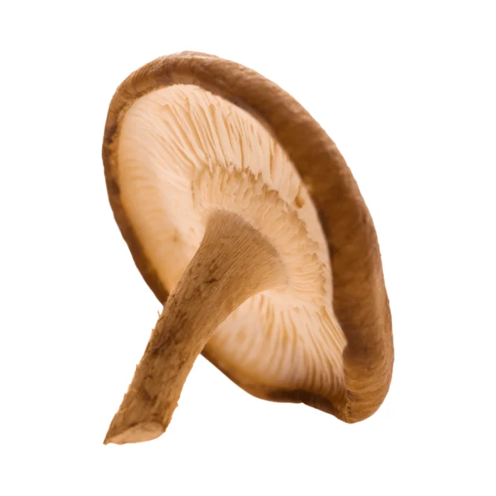 Shiitake Mushroom | 200g - Image 1