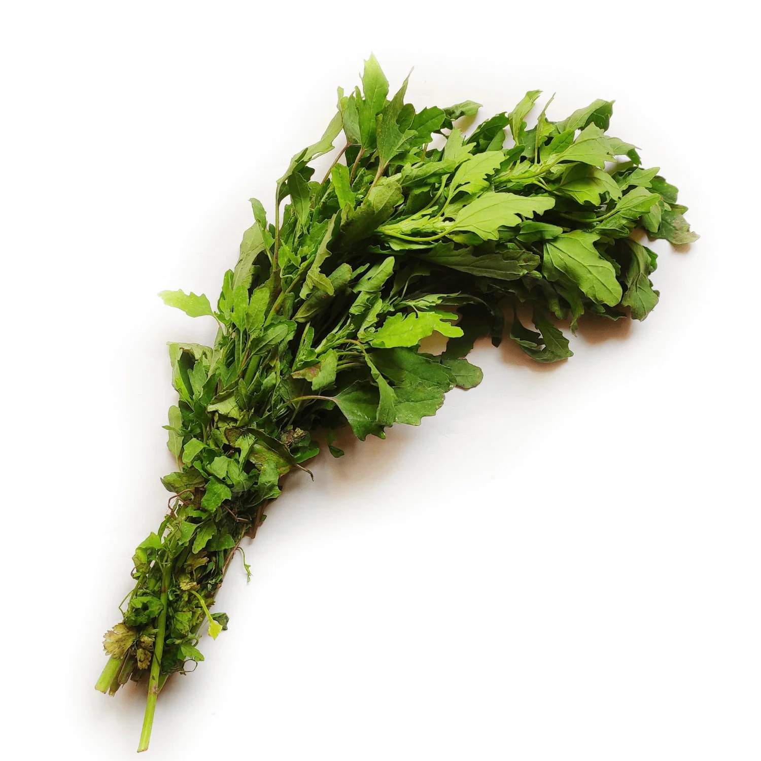 Bathua-Organic Bathua Organic