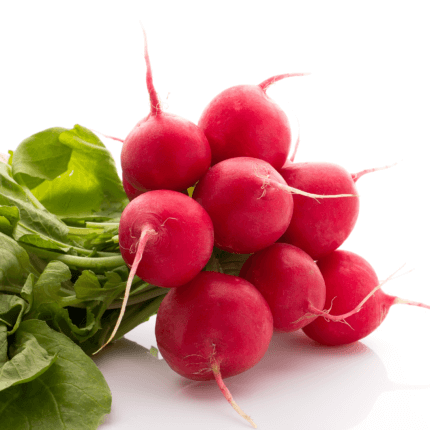 Red Round Radish Organic