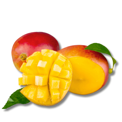 Sindhura Mango Organic