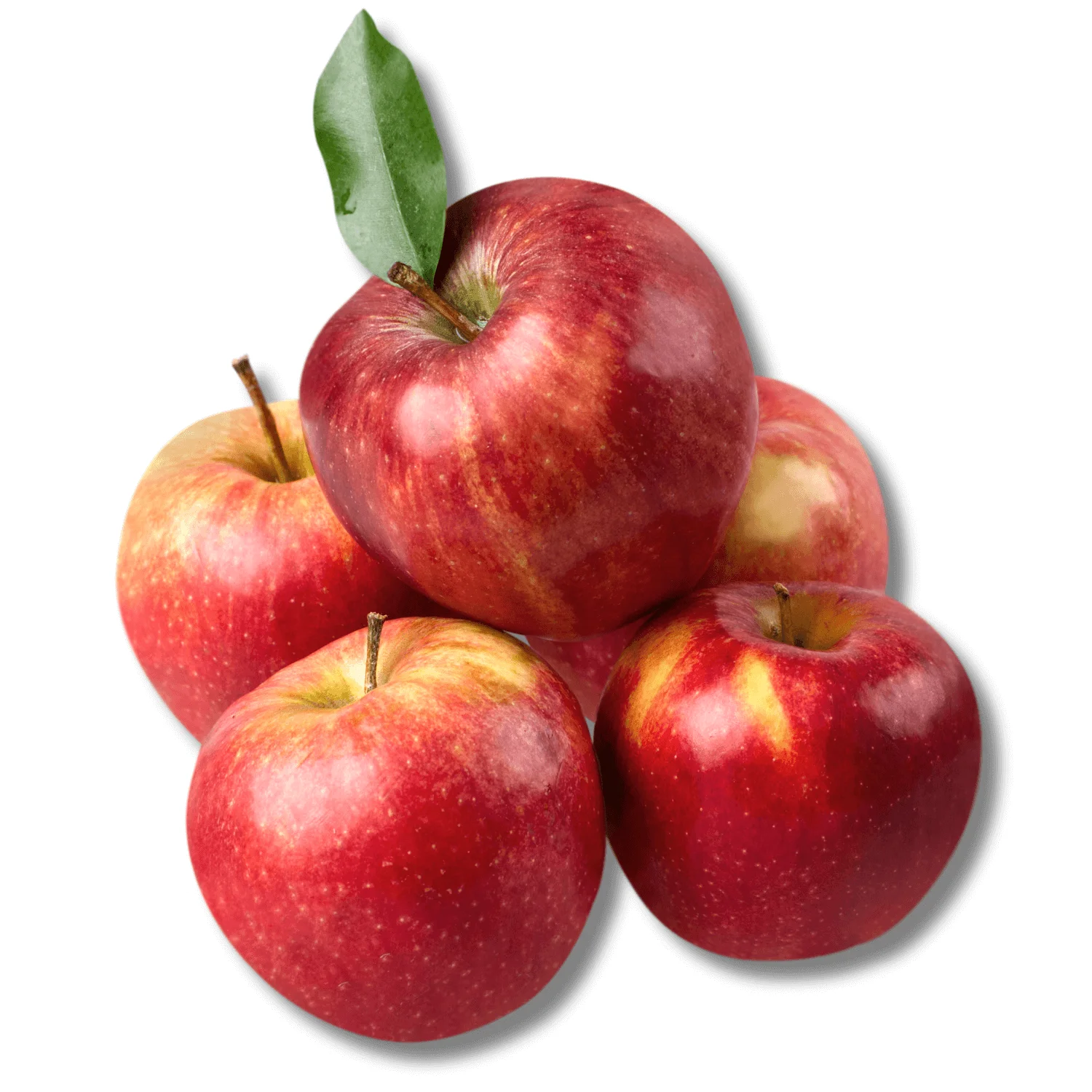 Organic-Gala-Apple-Kashmir Organic Gala Apple Kashmir