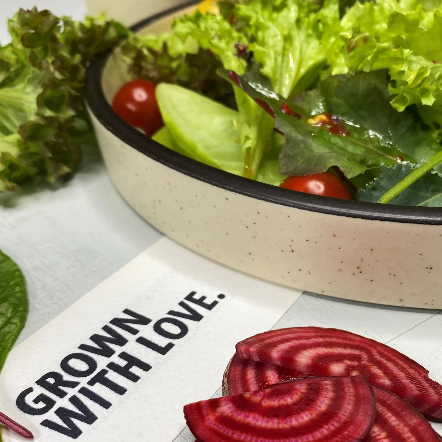 Salad-Sampler-Box-Organic Salad Sampler Box Organic