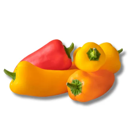 Sweet Snack Pepper Organic