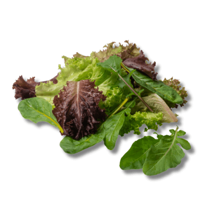 Spicy Salad Blend Organic