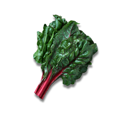 Swiss Chard Red