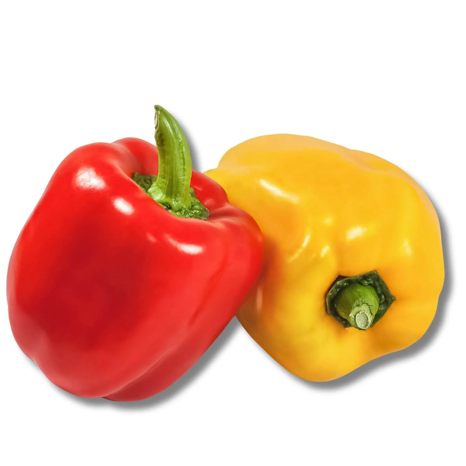 Bell-Pepper-Organic Bell Pepper Organic
