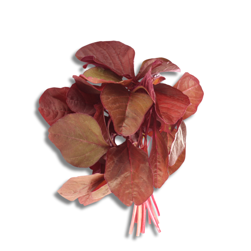 Amaranth Red Organic