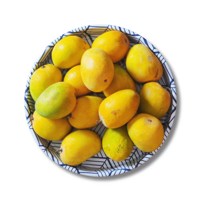 Mango neelam organic