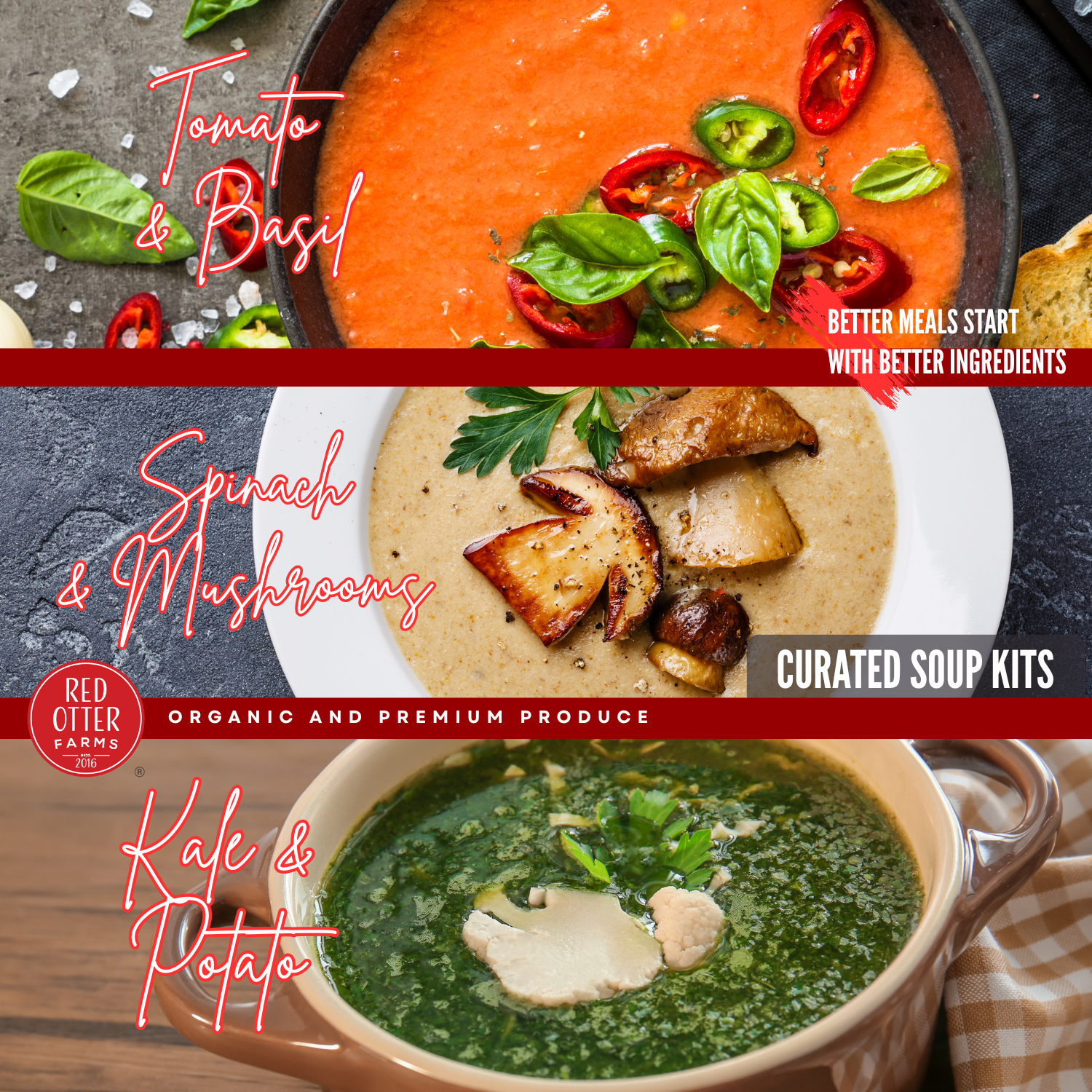 soup banner can lead to soup kit landing page