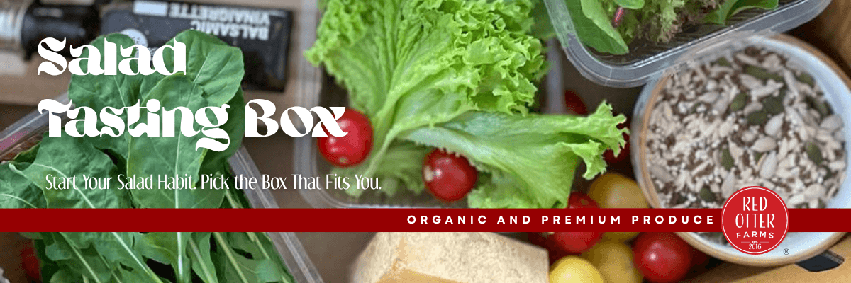 Salad testing to salad tasting landing page