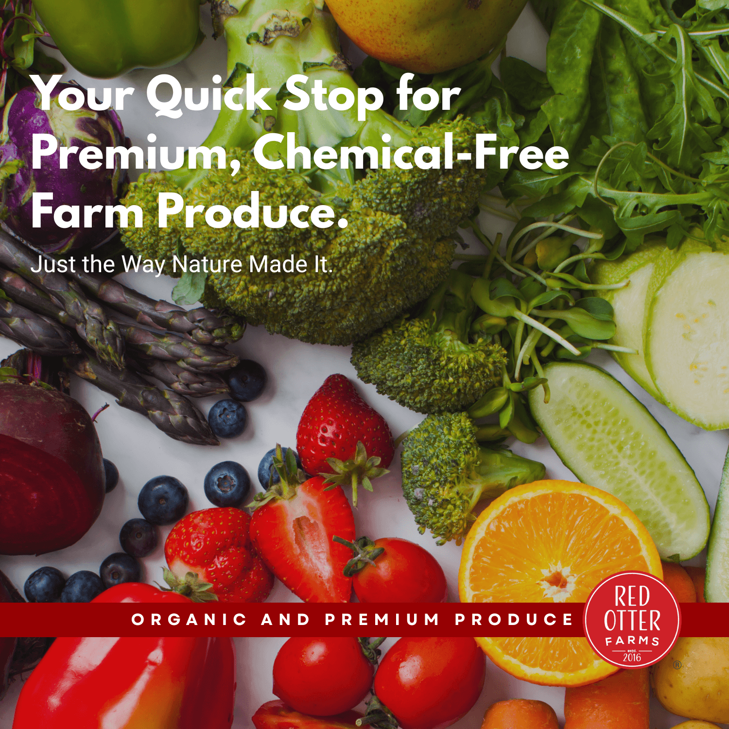 Quick shop veggies to quick shop page