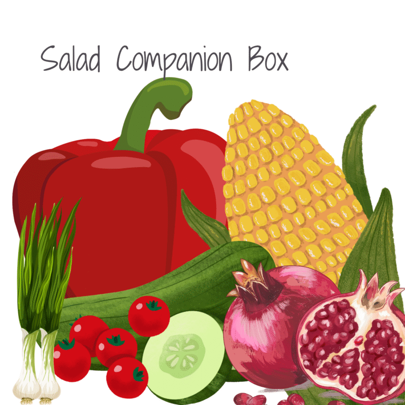 Salad companion box