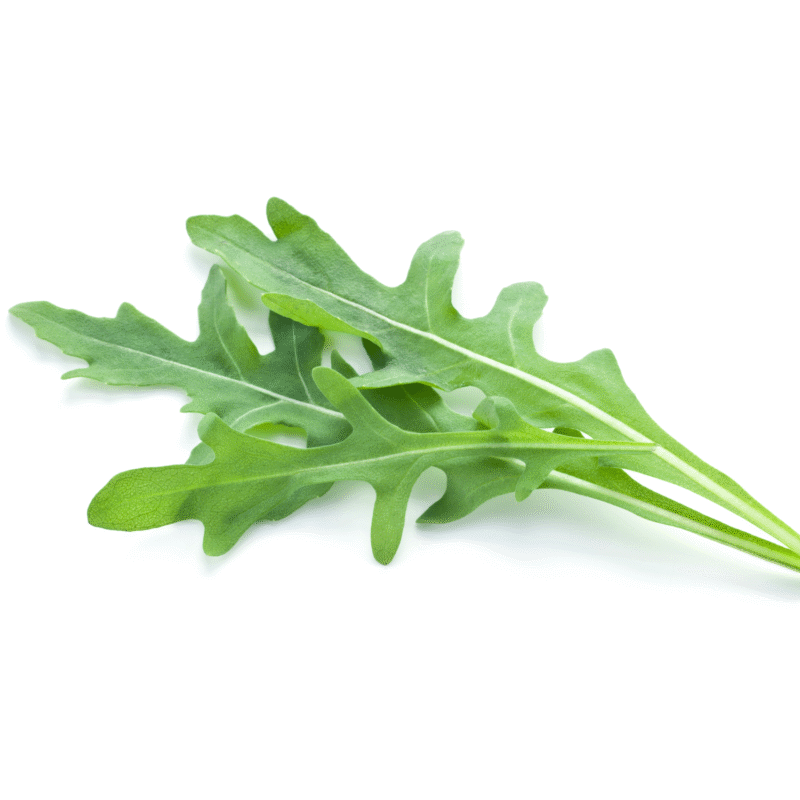 Arugula organic
