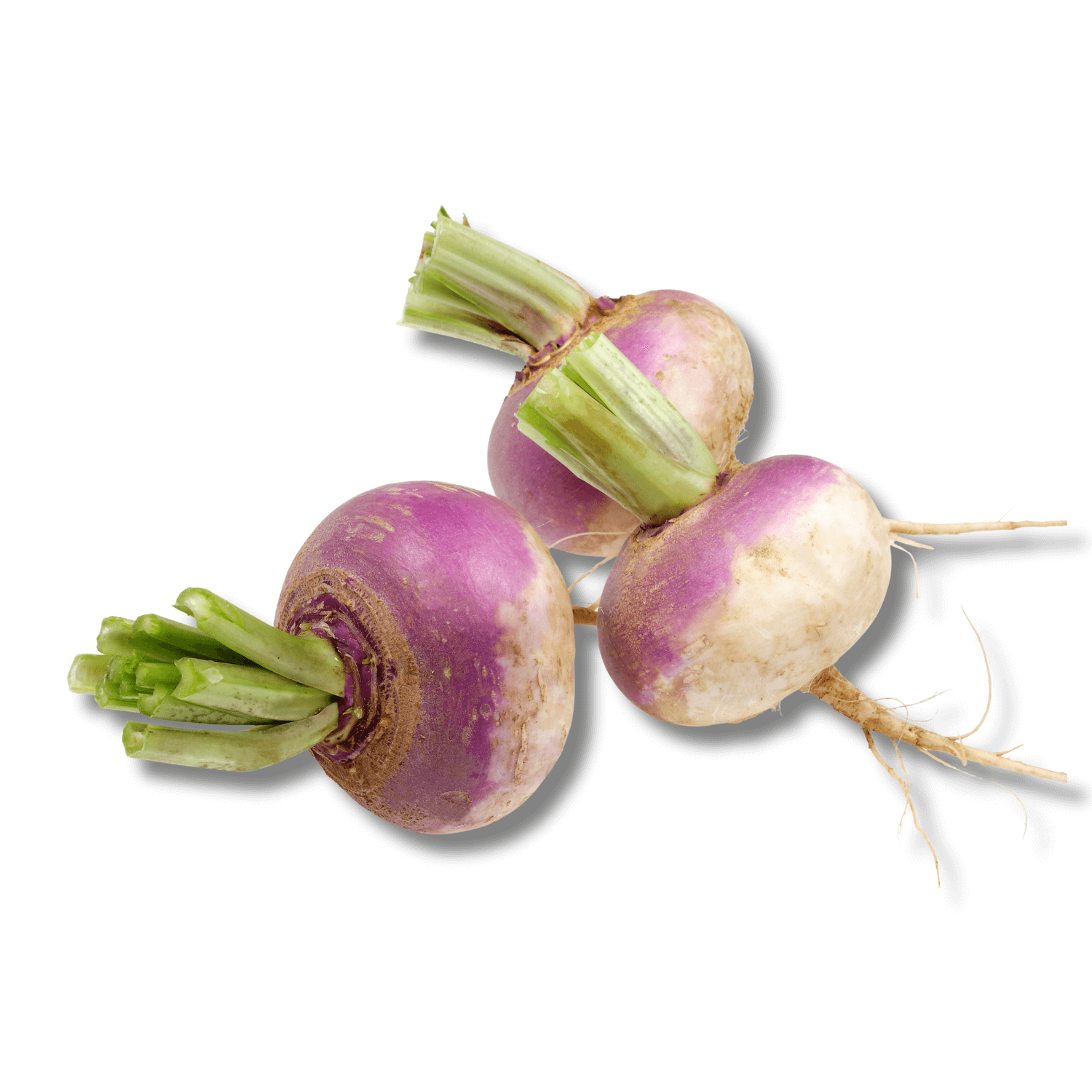Turnip-Organic Turnip organic