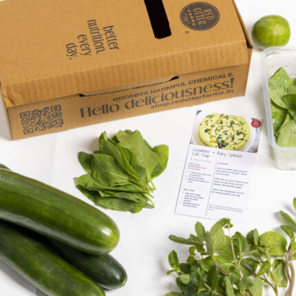 Cucumber and baby spinach soup kit
